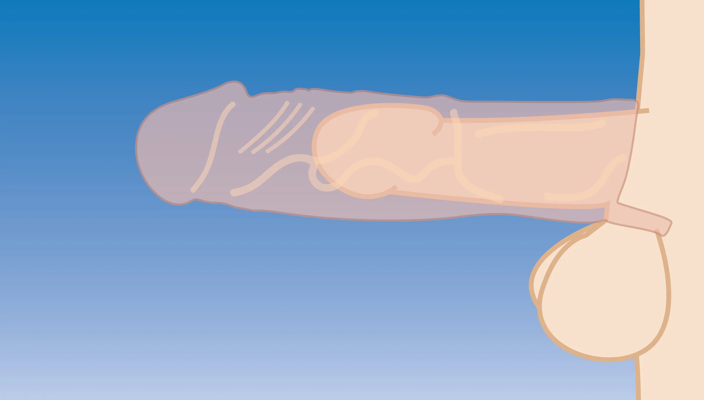 2 Inch Silicone Penis Extension - Image 2