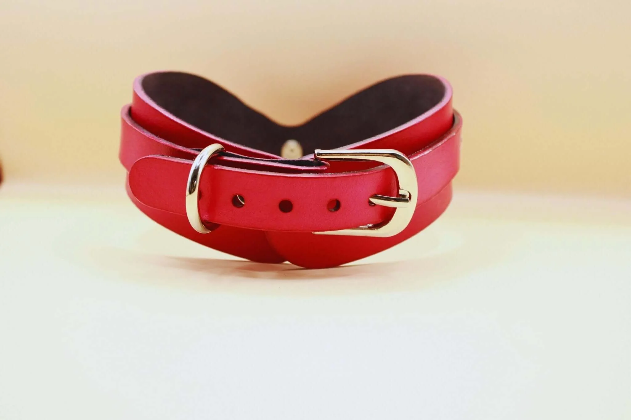 BDSM Collar for Petplay Discreet BDSM Jewelry for Submissives - Image 2