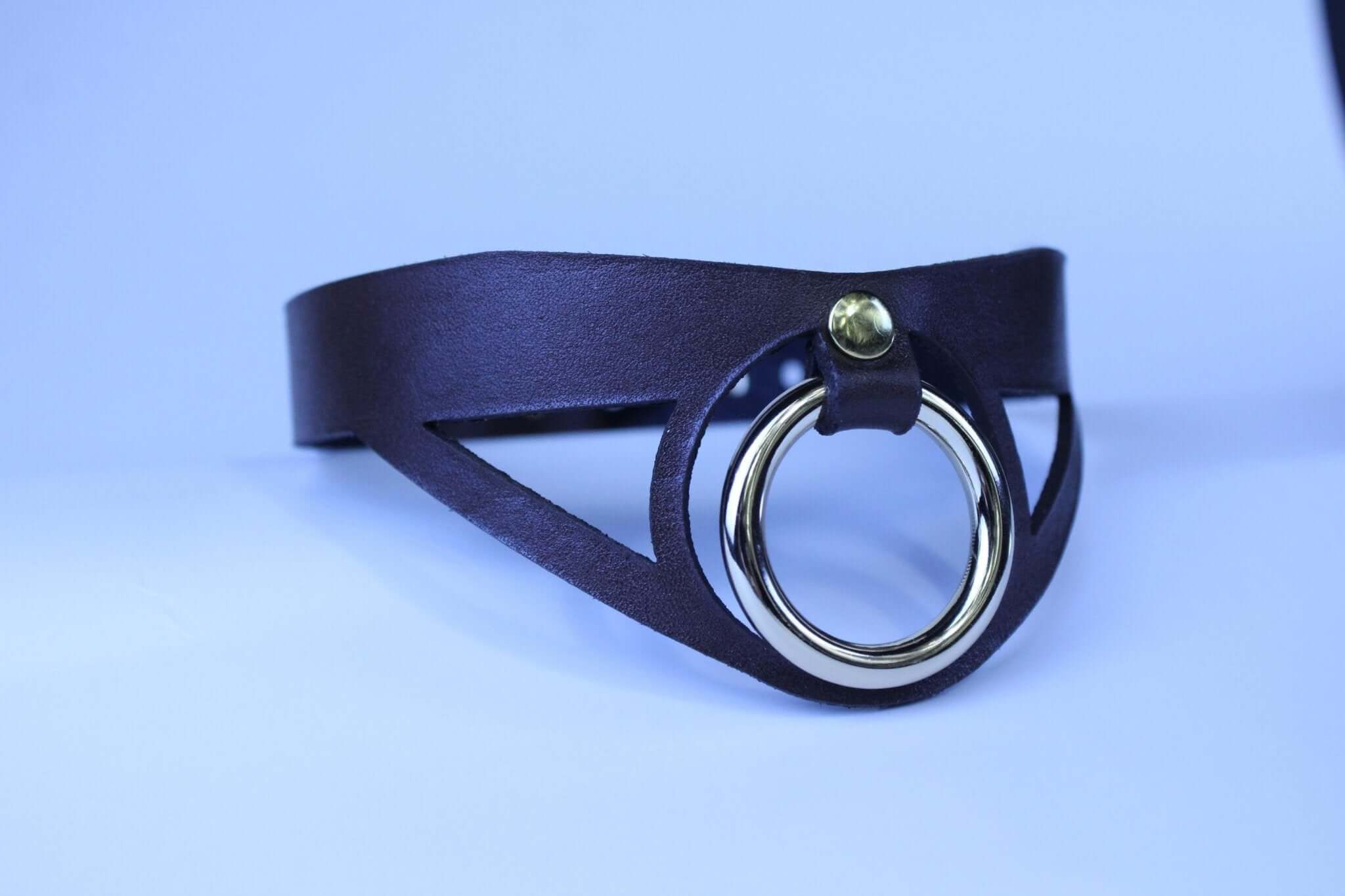 Choker Collar Minimalist BDSM Collar with Statement Ring Elegant - Image 2