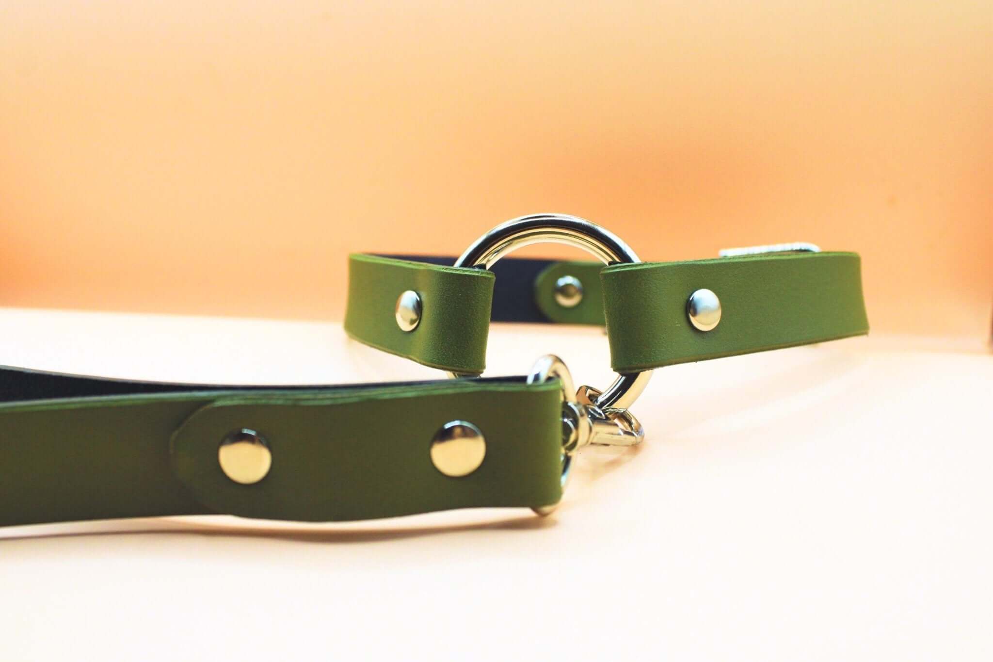 Choker Collar Olive Green Leather Collar Leash Set - Image 5