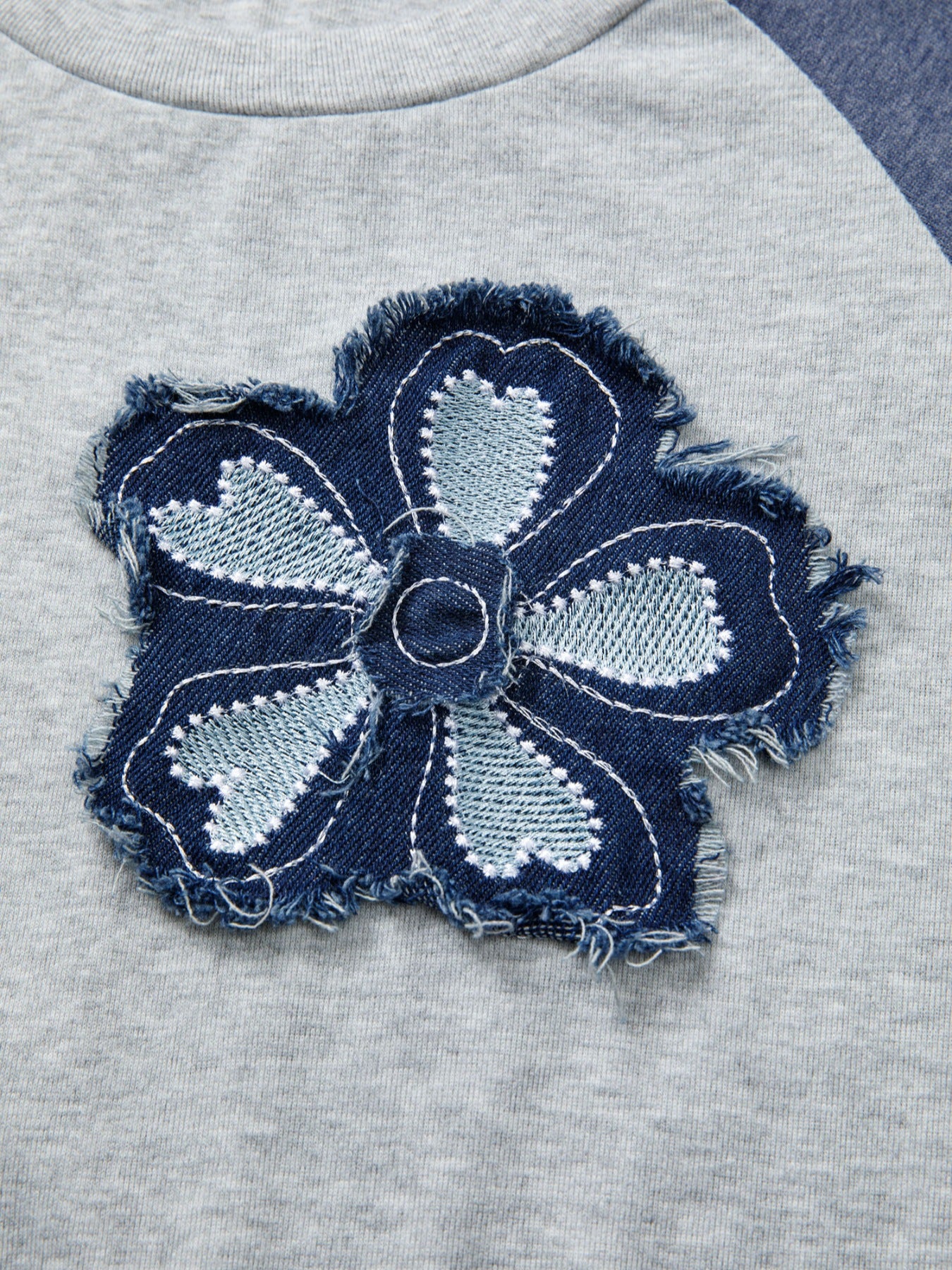 Color Block Flower Embroidered Patch Graphic Raglan Long Sleeve Top - Image 7