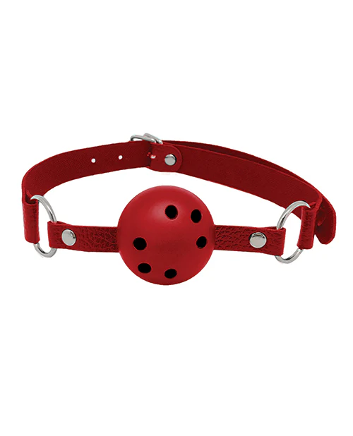 Alive Discretion Ball Gag - Image 3