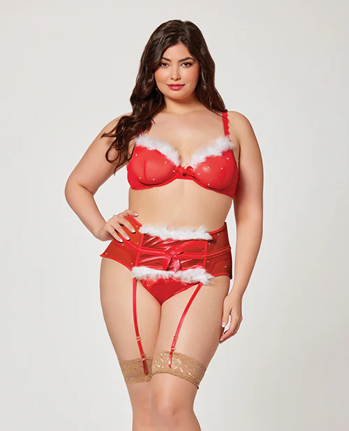 Holiday Sparkle Mesh Bra W/marabou Trim, Garter Belt & Panty Red