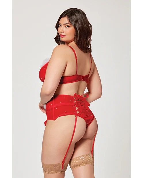 Holiday Sparkle Mesh Bra W/marabou Trim, Garter Belt & Panty Red - Image 2