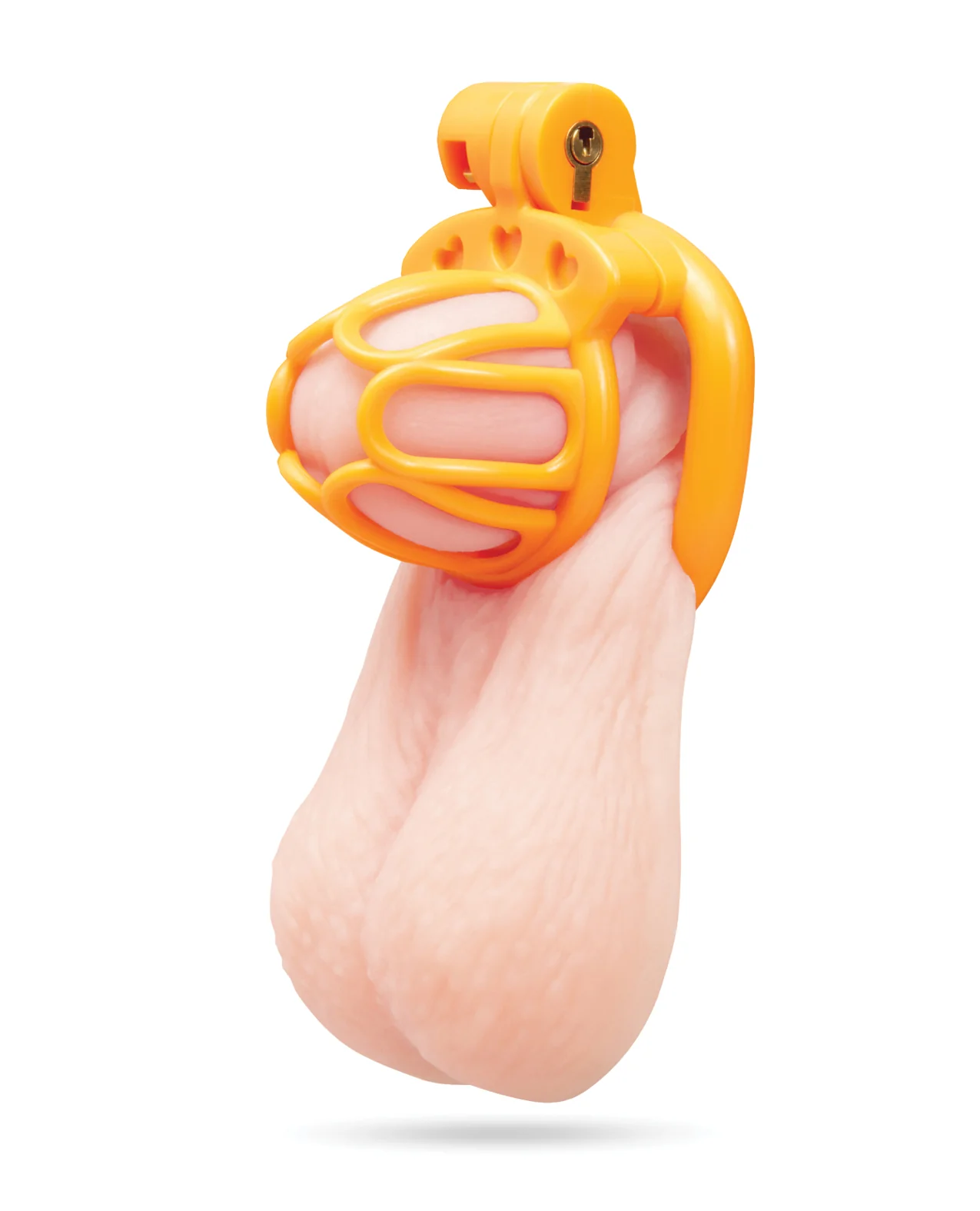 Fenced-In Inmate Mini Cock Chastity Case - Image 2