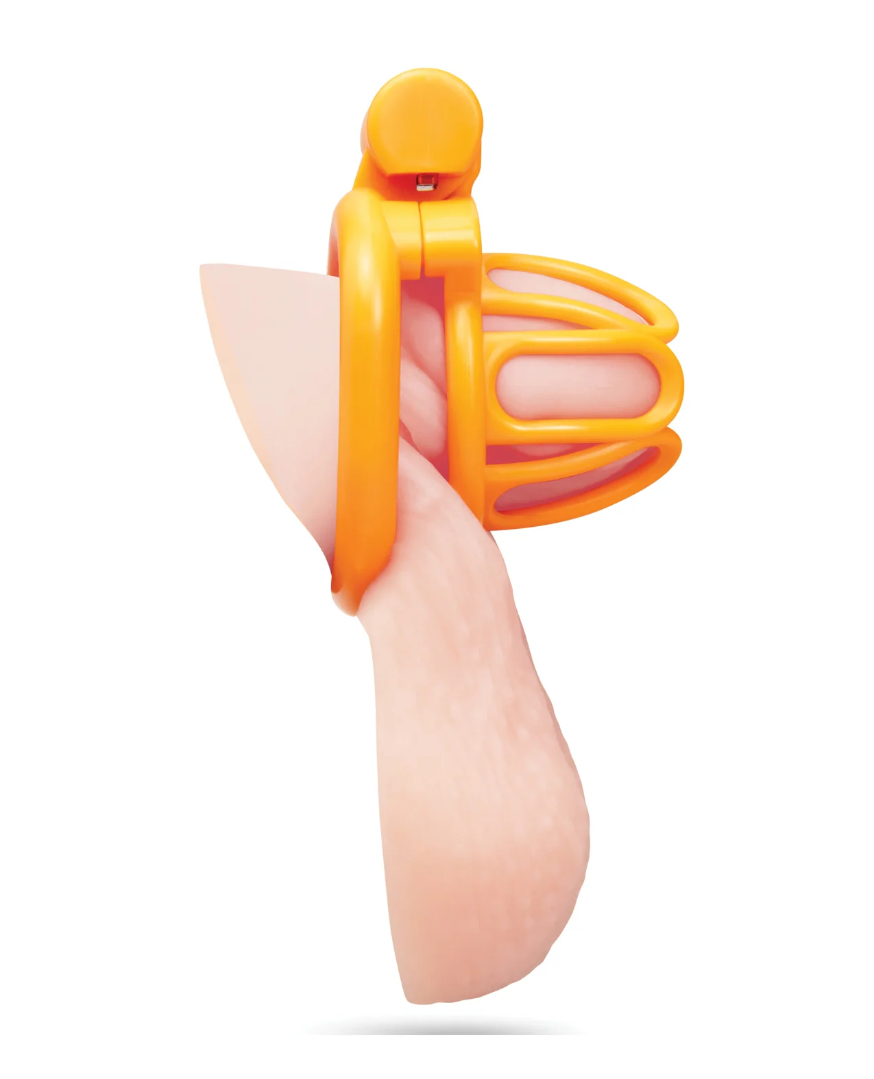 Fenced-In Inmate Mini Cock Chastity Case - Image 3