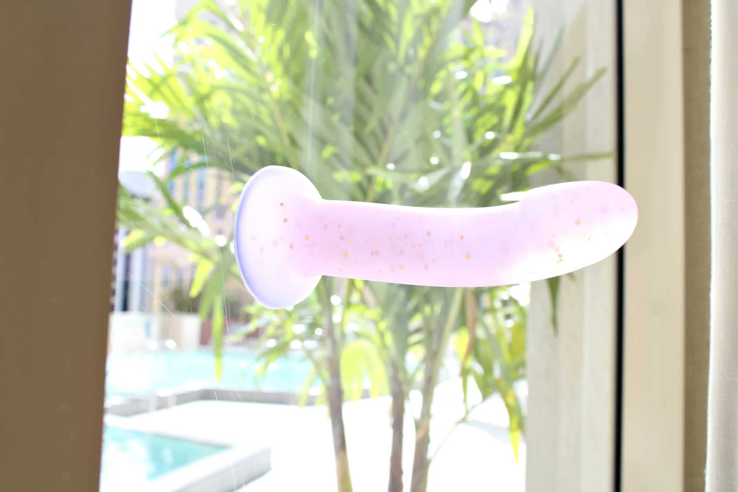 Fides - The Clear Dildo - Image 5