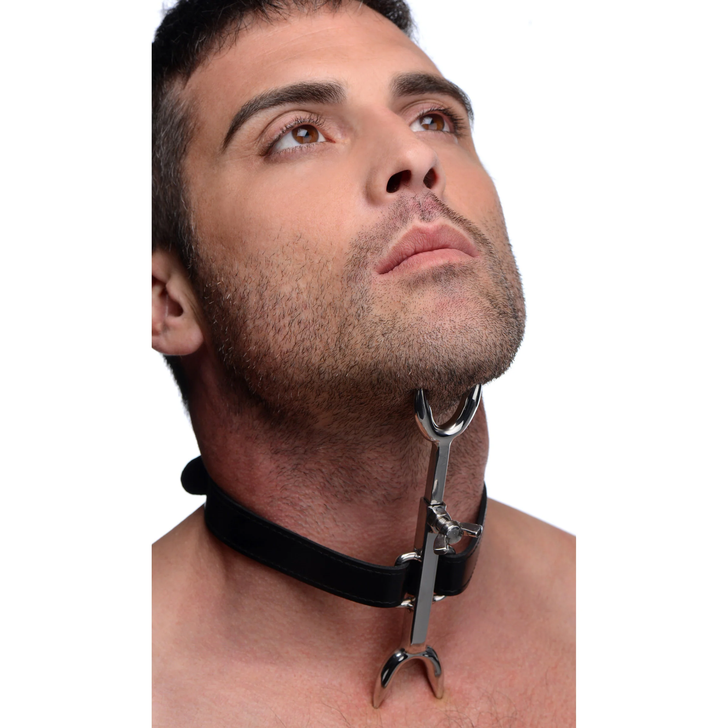 Heretics Fork - Image 2