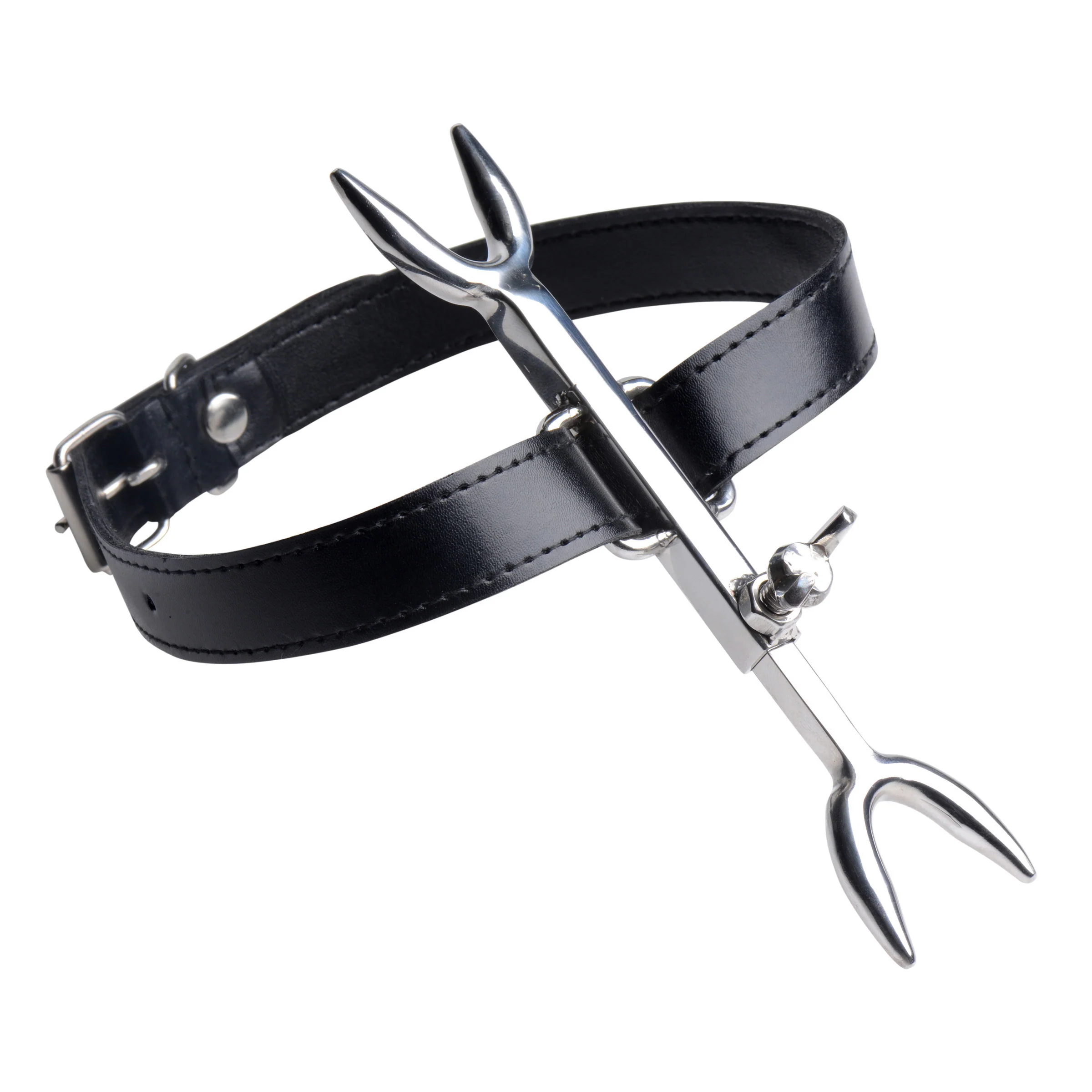 Heretics Fork - Image 4