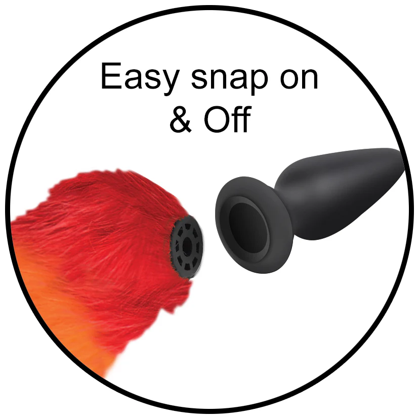 Interchangeable Rainbow Fox Tail - Image 5