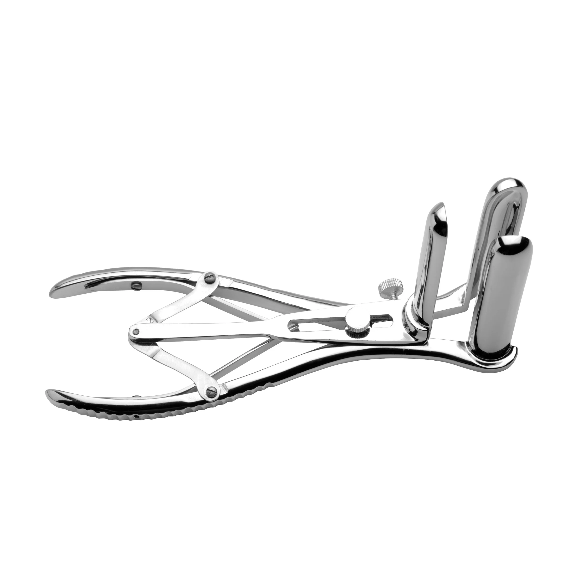 Isabella Sinclaire Anal Speculum - Image 5