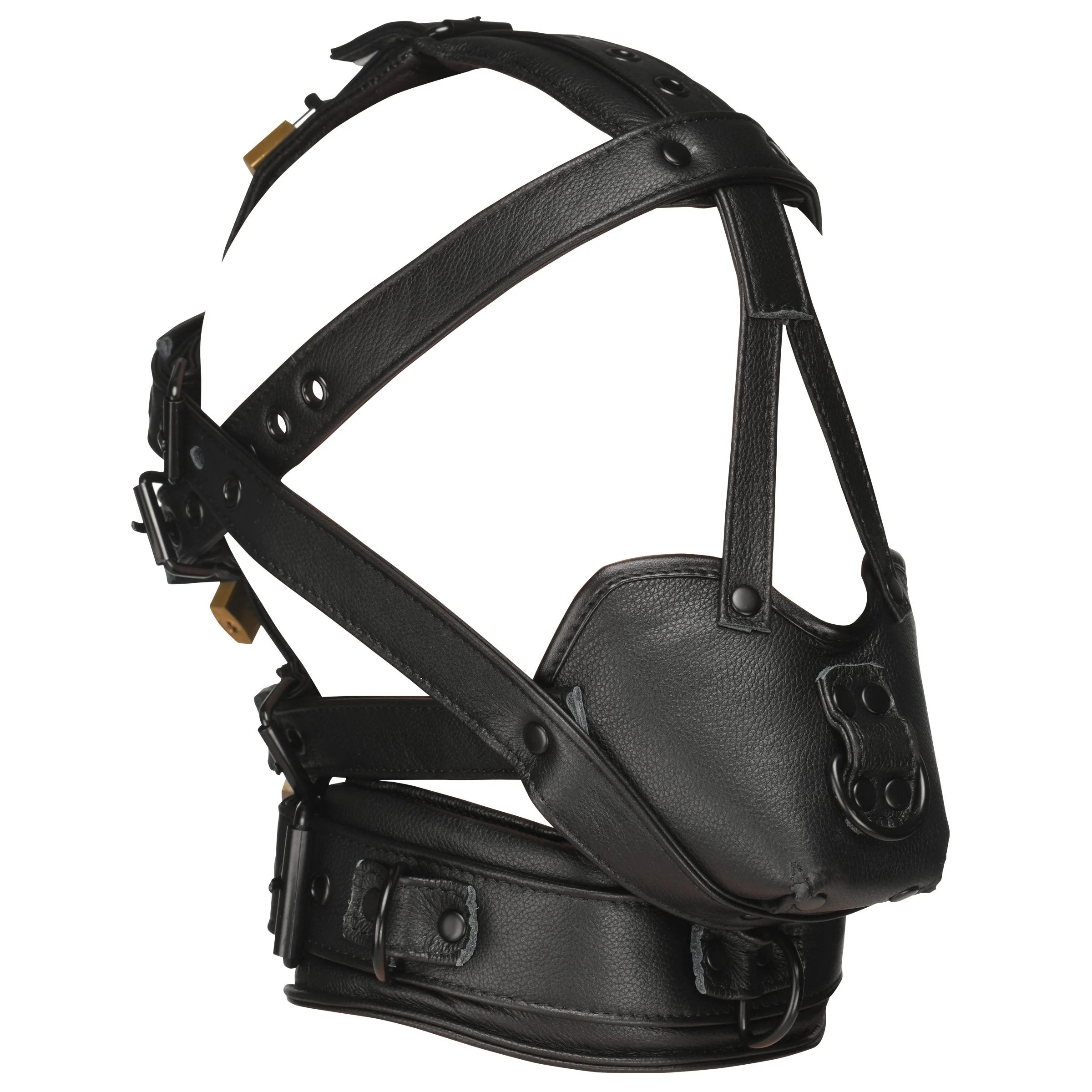 Lockable Head Harness With Muzzle - Image 4