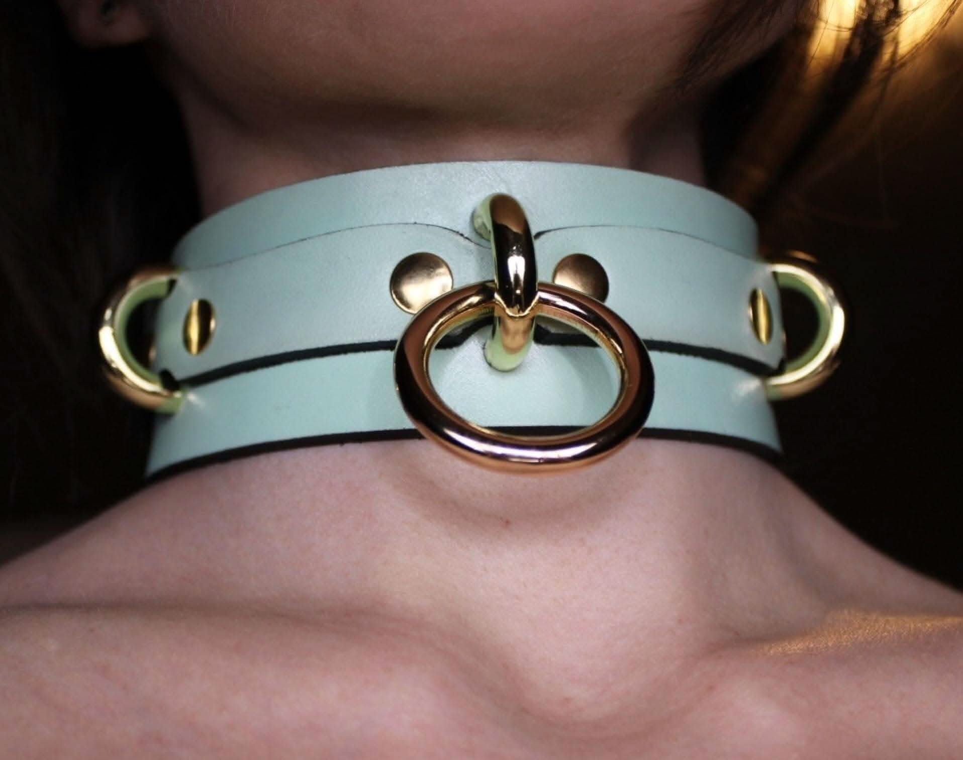 Posture Collar with Gold O-Ring BDSM Choker for Submissive Bondage