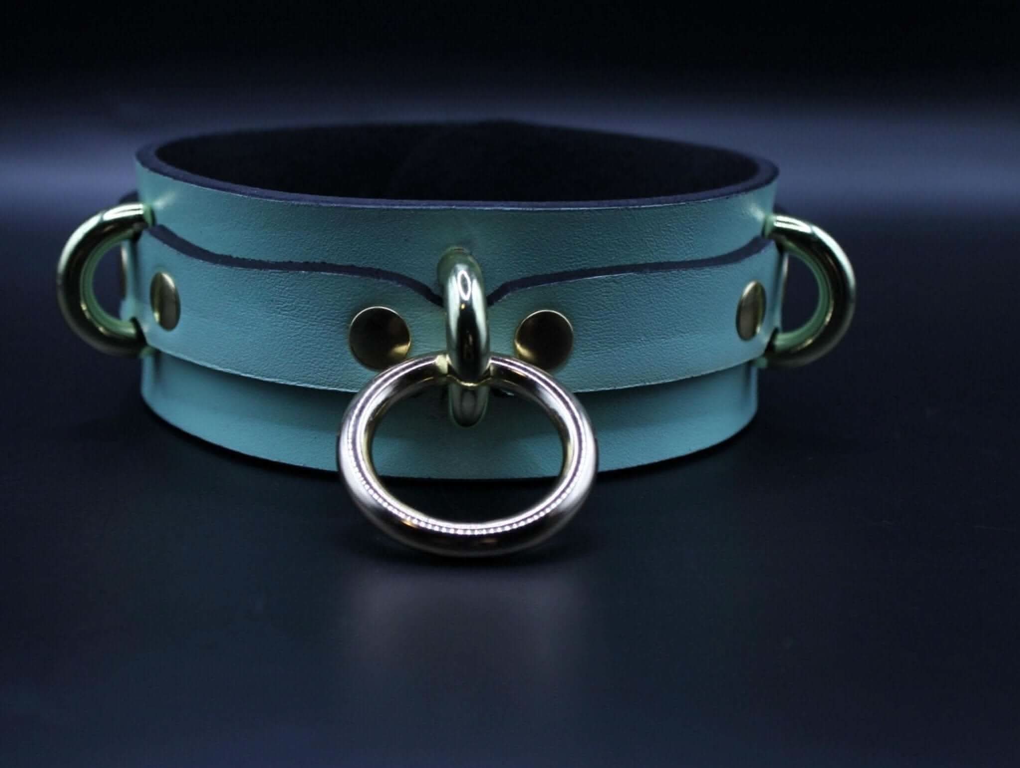 Posture Collar with Gold O-Ring BDSM Choker for Submissive Bondage - Image 3