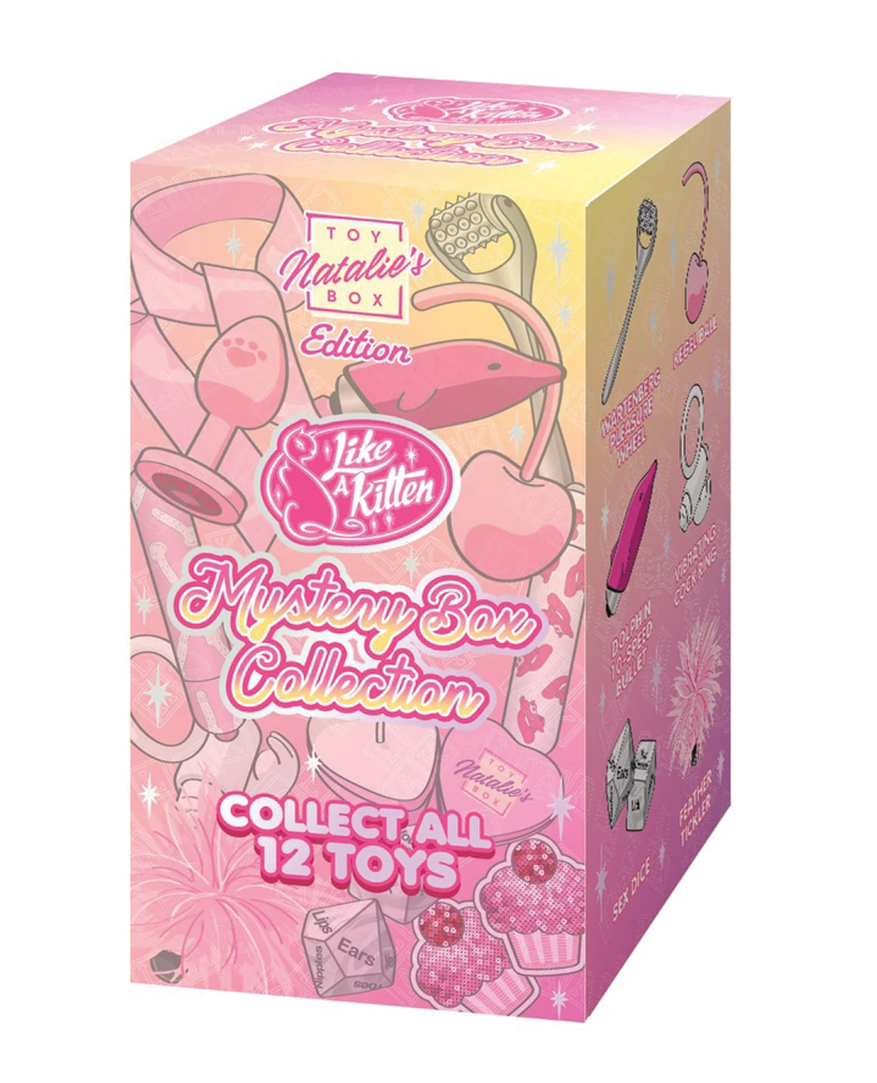 Mystery Box 12 pc Display - Natalie’s Toy Box Edition - Image 2