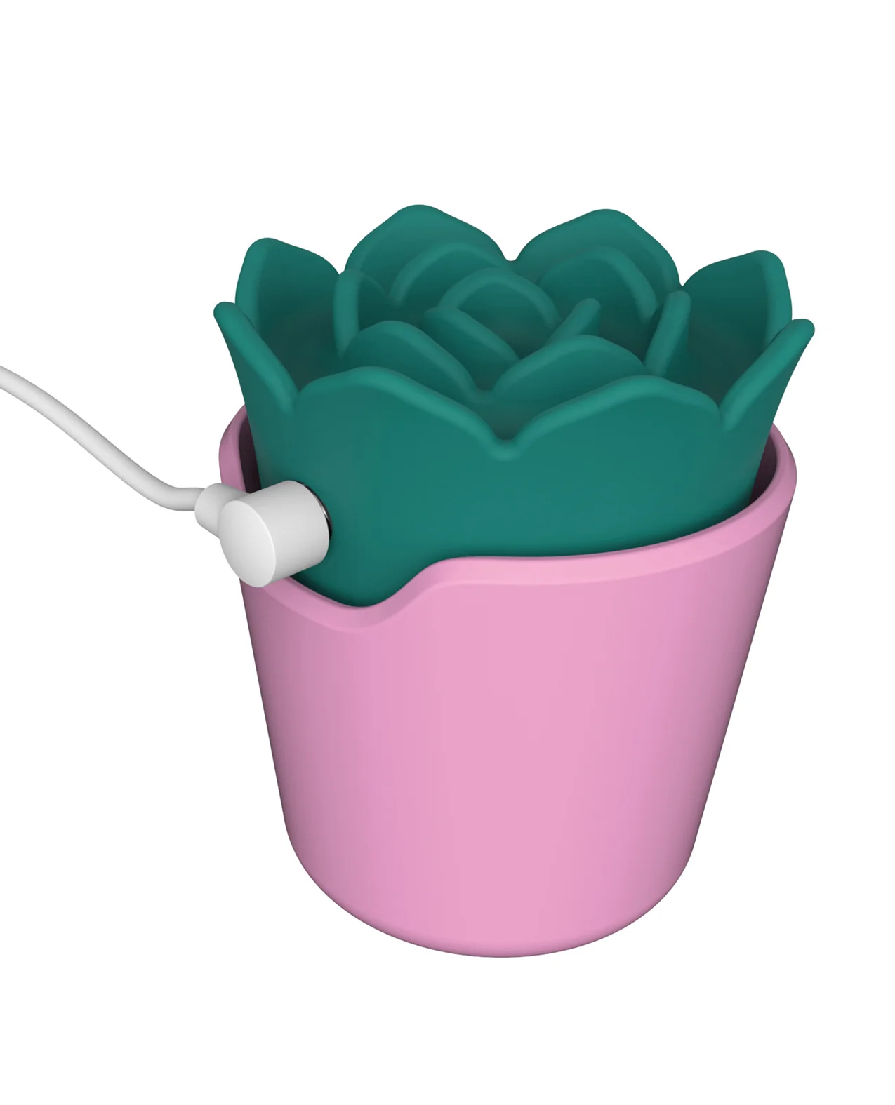 plusOne Succulent Arouser - Image 4