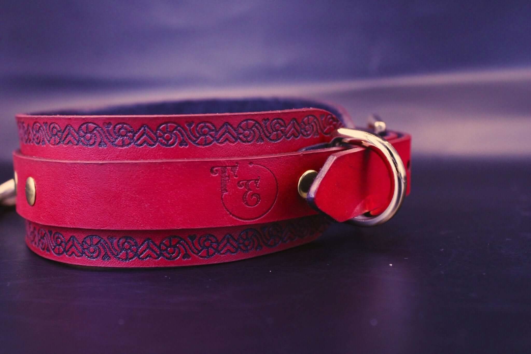 Slave Collar with O-Ring Jewelry for Submissives - Image 3