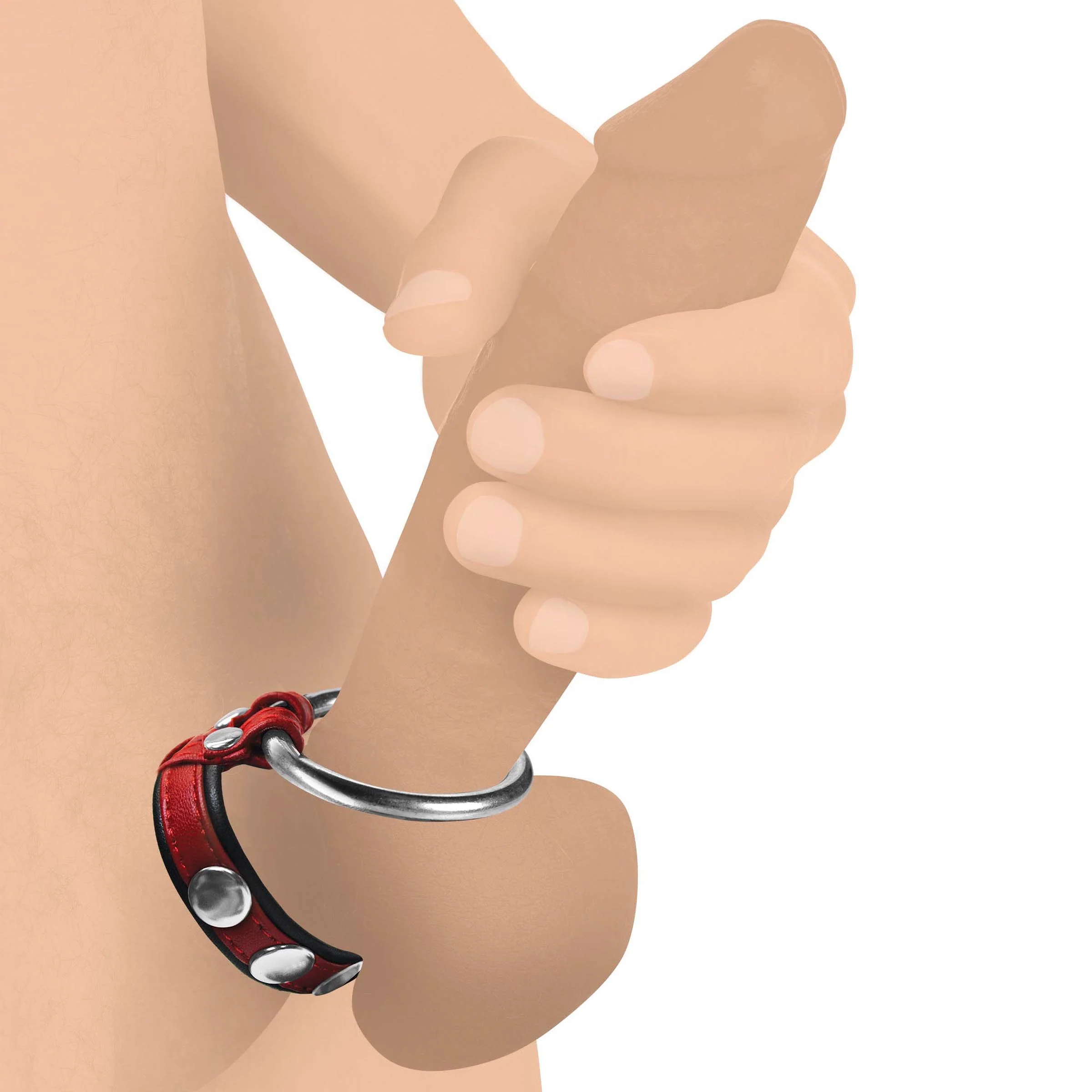 Leather And Steel Cock And Ball Ring