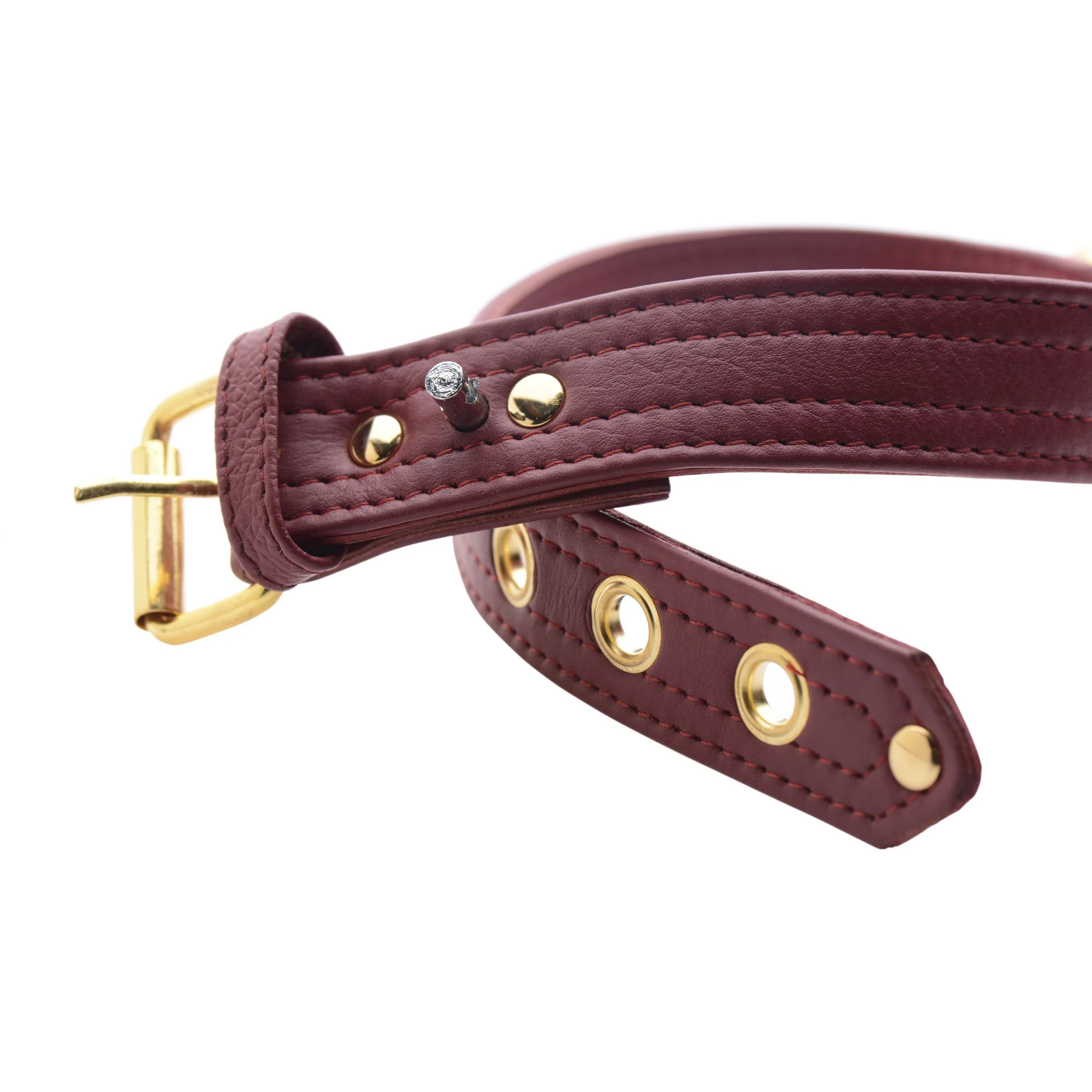 Strict Leather Luxury Locking Collar - Image 3