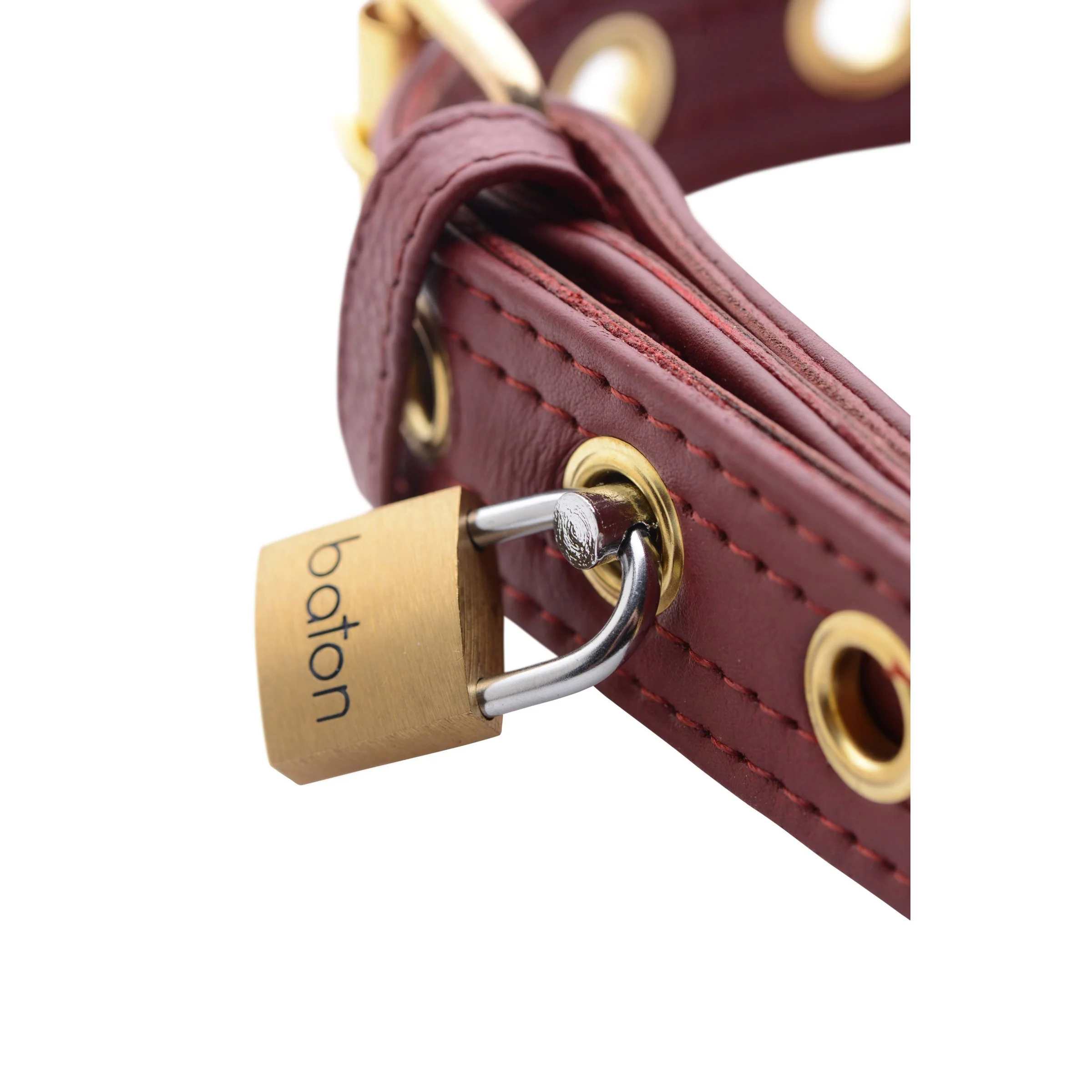Strict Leather Luxury Locking Collar - Image 4