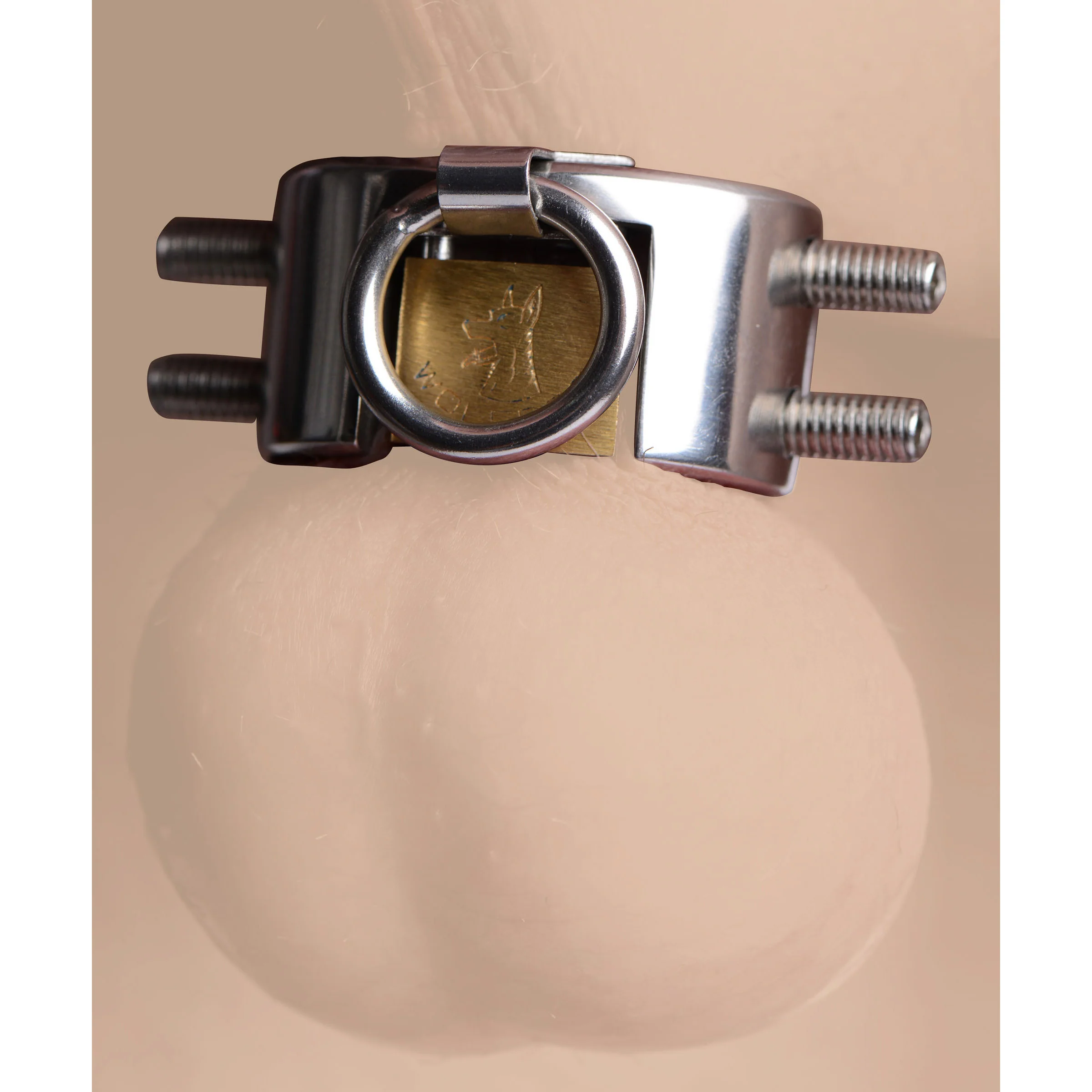 Stainless Steel Cbt - Image 3