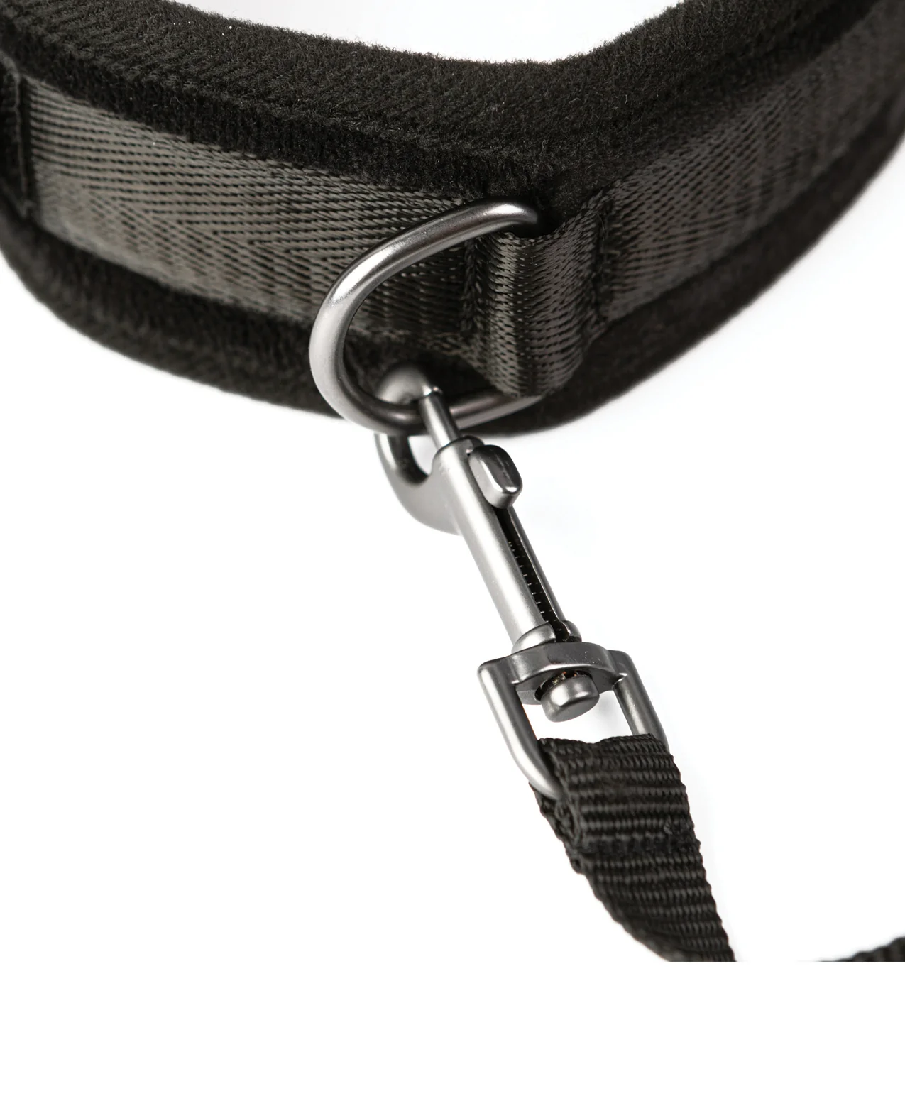 Sei Mio Take the Lead Padded Neck Collar & Leash - Black - Image 4