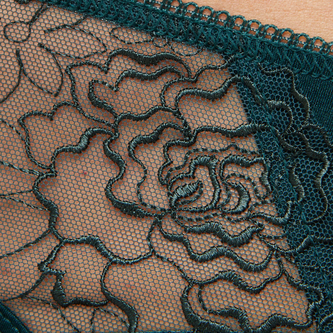 Semi Sheer Low Rise Bikini Panty Pamela Pine Green - Image 5