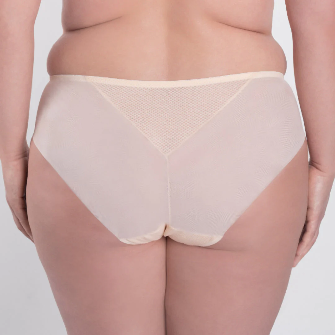 Sheer Mesh Tulle Embroidered Brief Panty Valeria Biscuit - Image 2