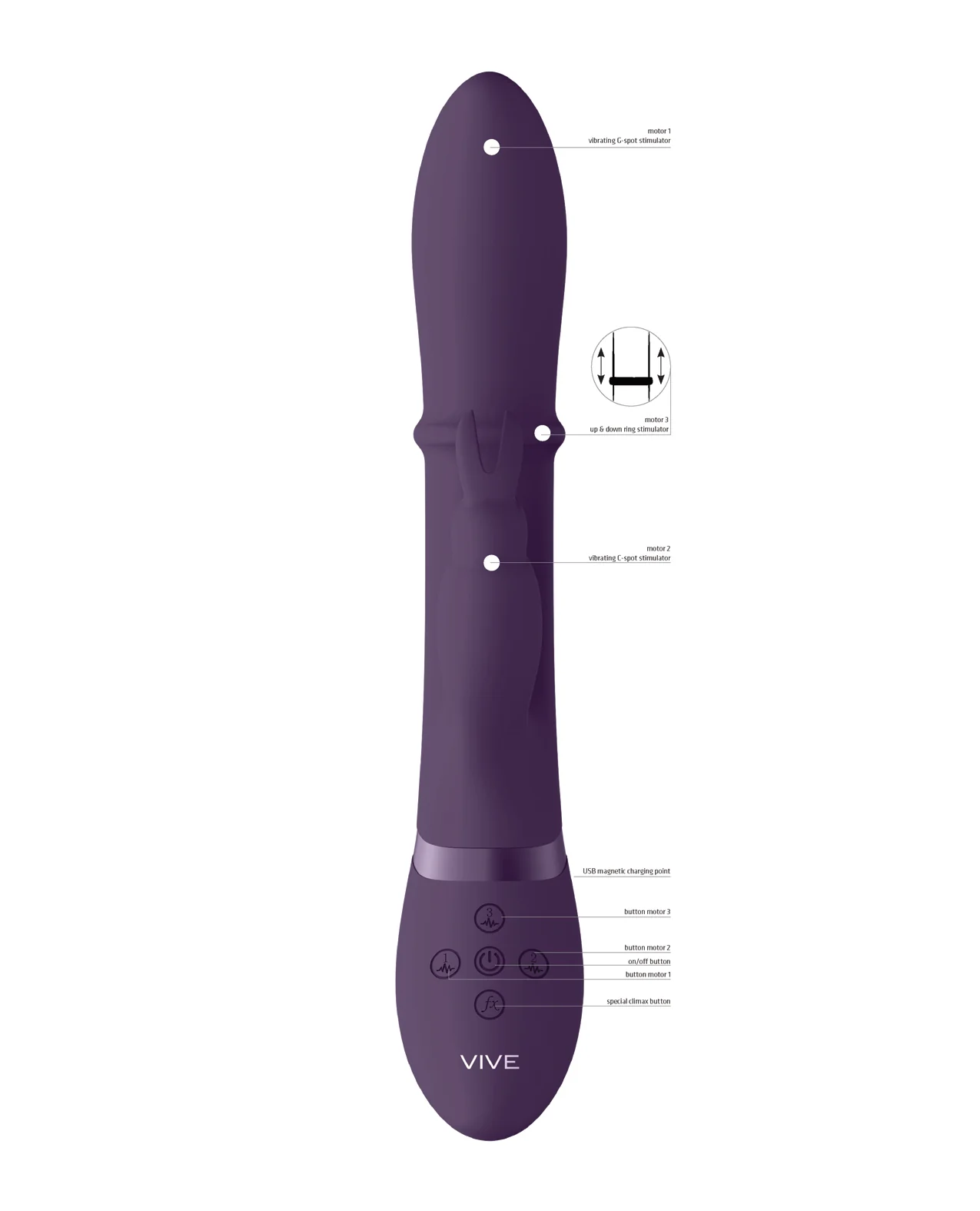 Shots Vive Halo Up & Down Ring G-Spot Rabbit - Purple - Image 5