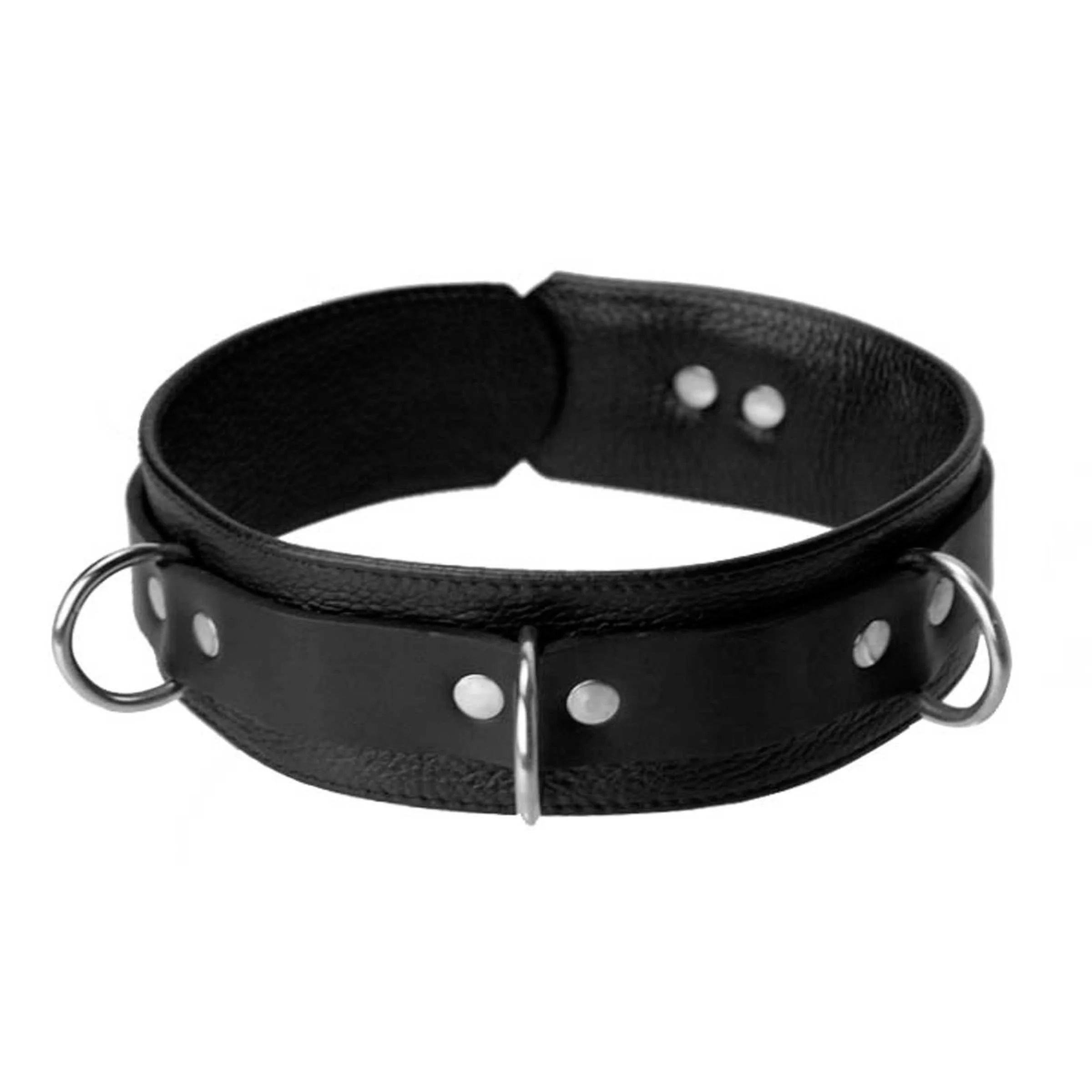 Sick Puppy Leash And Collar Kit - Image 3