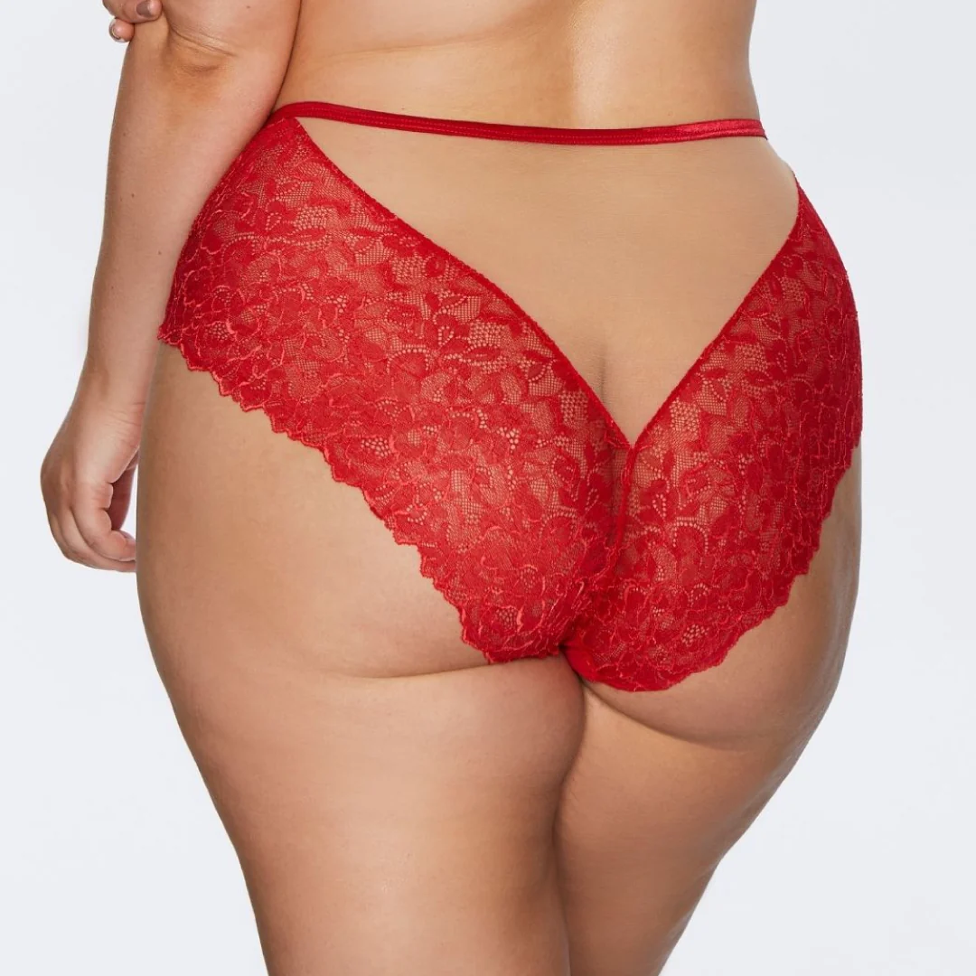 Soft Lace High Waist Brief Panty Kinga Mind Love - Image 2