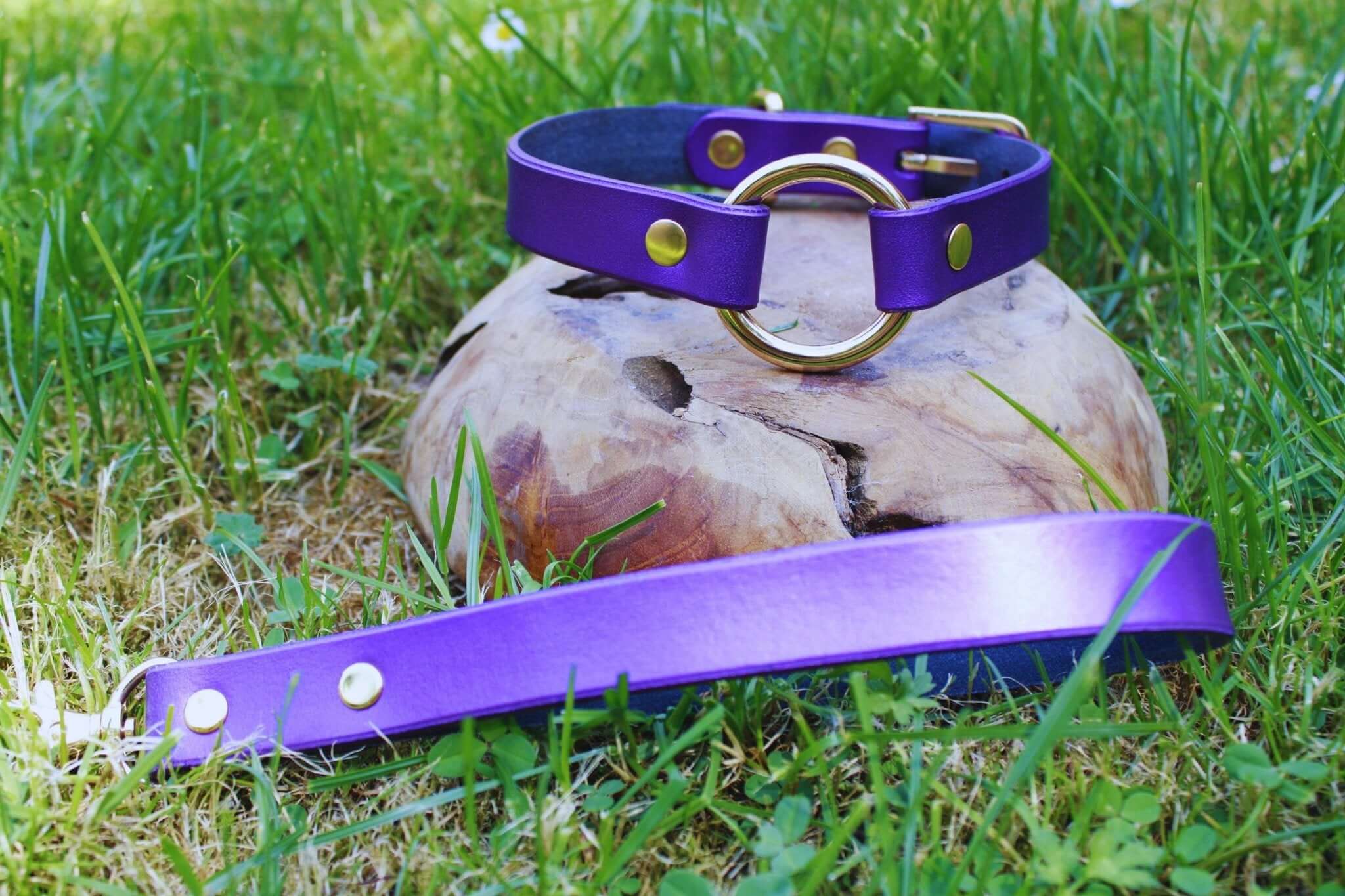Submissive Collar Elegant Pearl Purple Leather Choker Collar