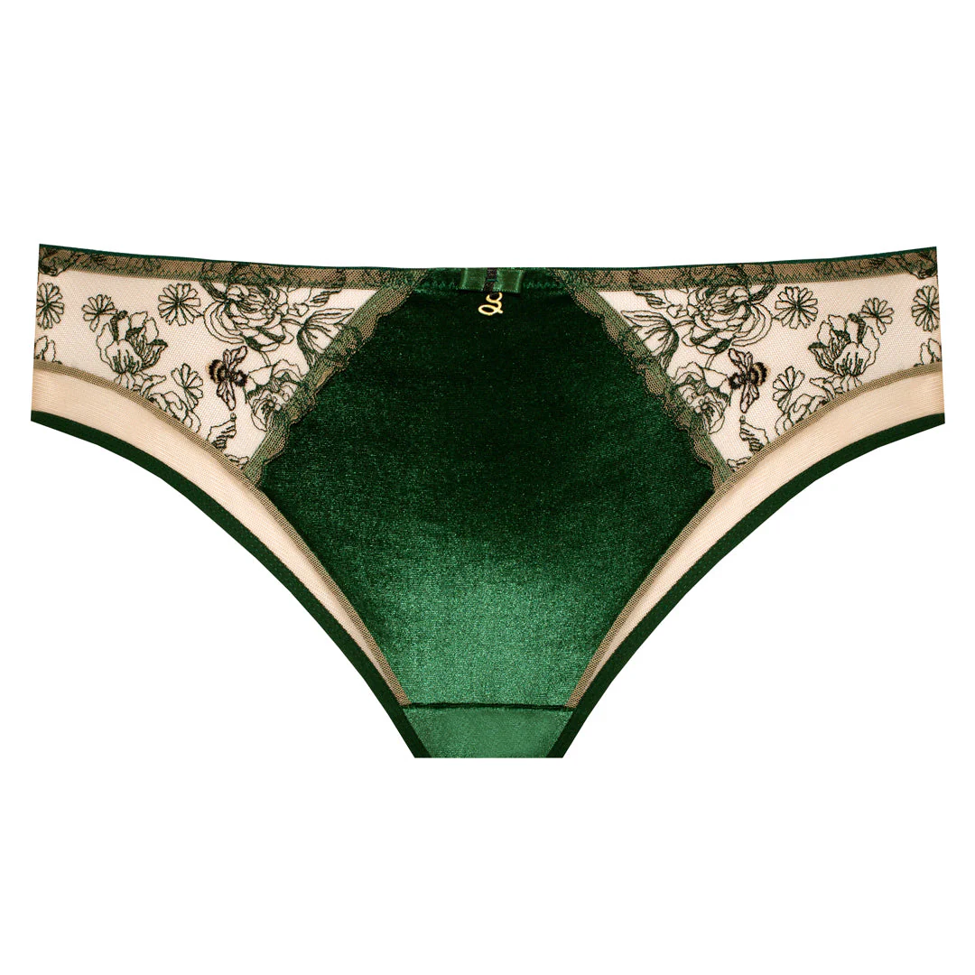 Velvet Sheer Embroidered Brief Panty Ola - Image 5
